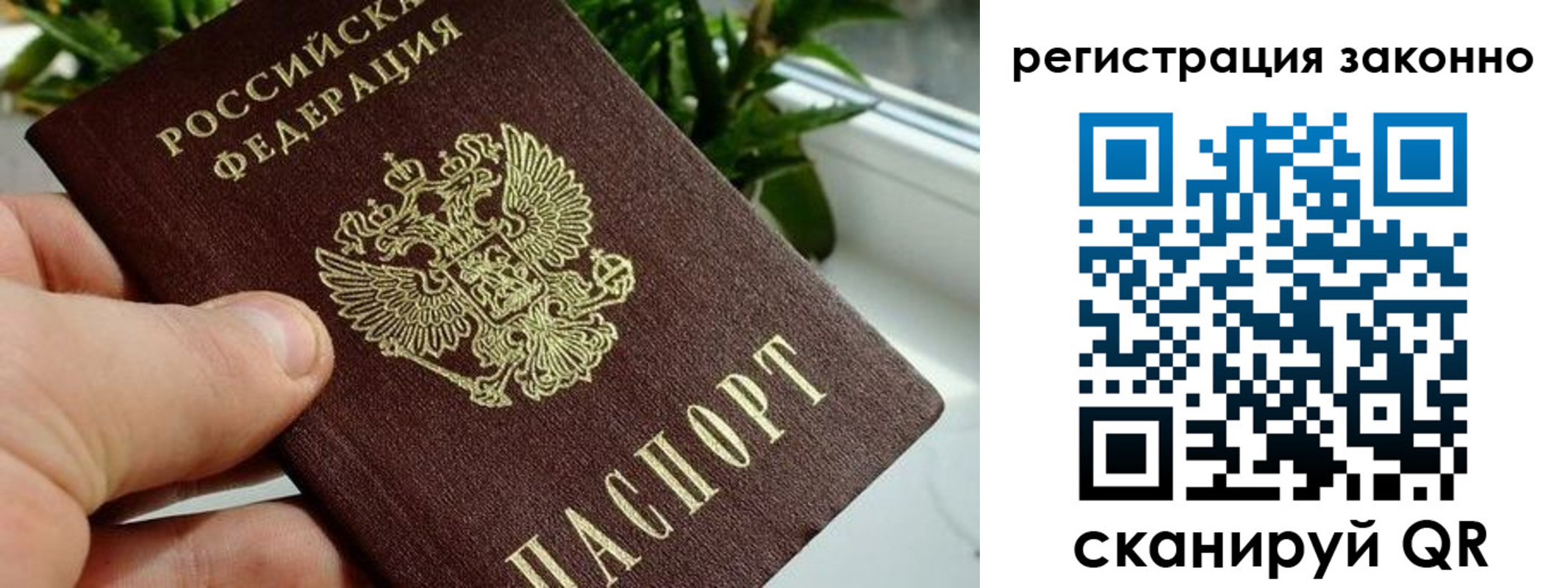 прописка гарантия в Чусовом